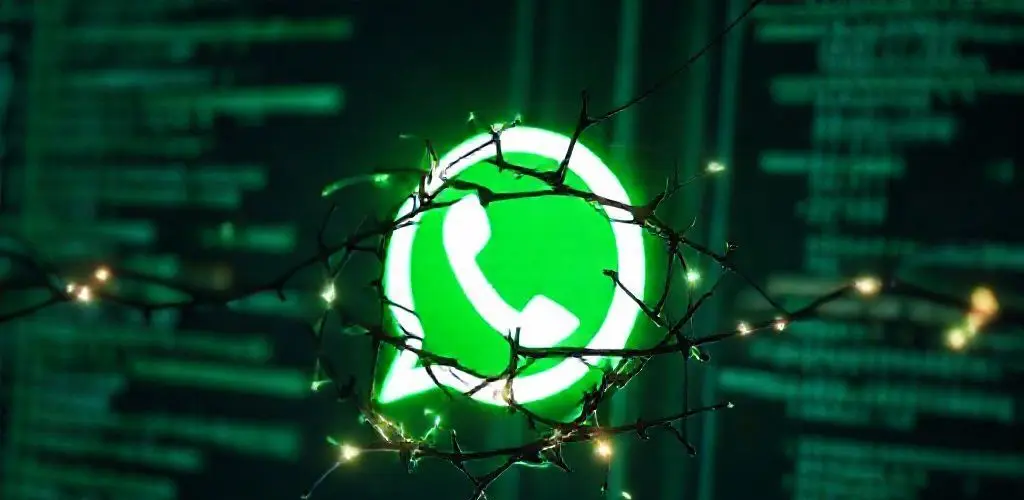 Poisoned WhatsApp API package steals messages and accounts