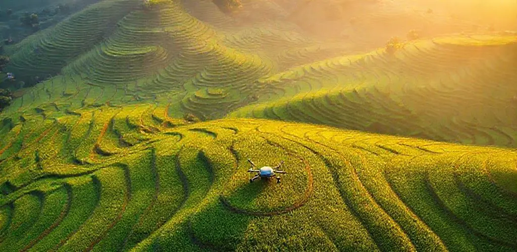 China debuts new AI model for high-standard farmland protection