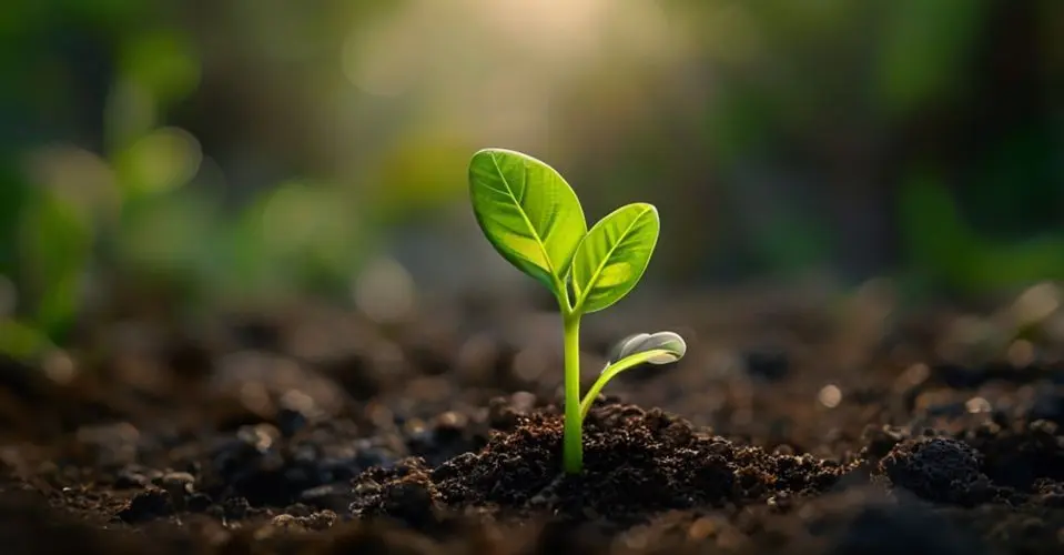 Midjourney Mastery: Image Generation Hacks for Stunning Visuals